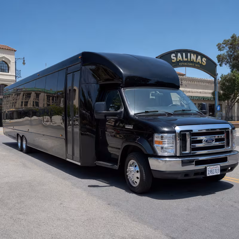 15 Passenger Party Bus