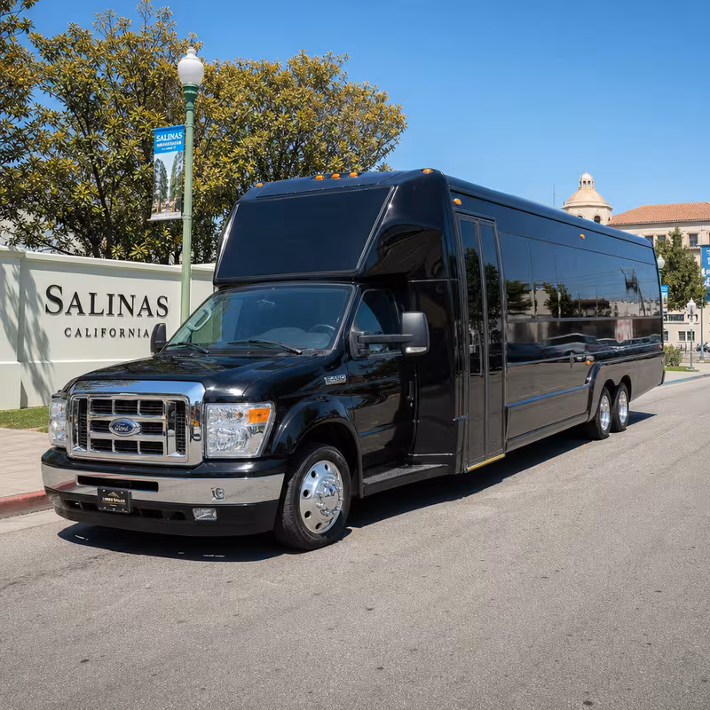 25 Passenger Party Bus