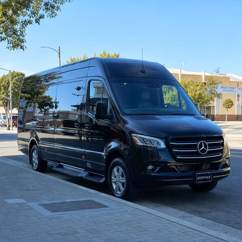 14 Passenger Sprinter Limo